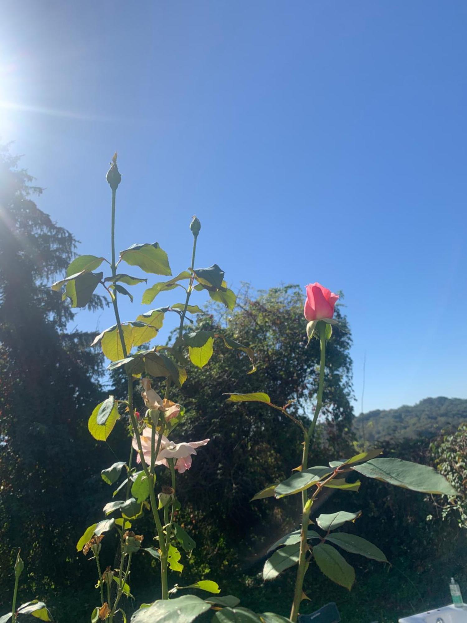 LagorLa Poesie住宿加早餐旅馆 外观 照片